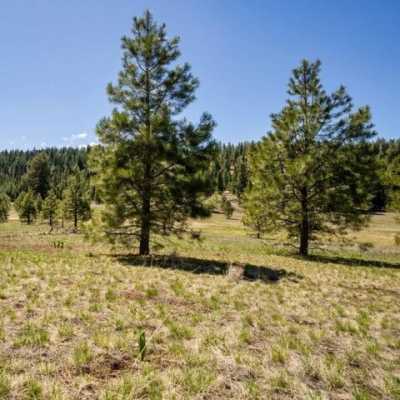 Residential Land For Sale in McCall, Idaho