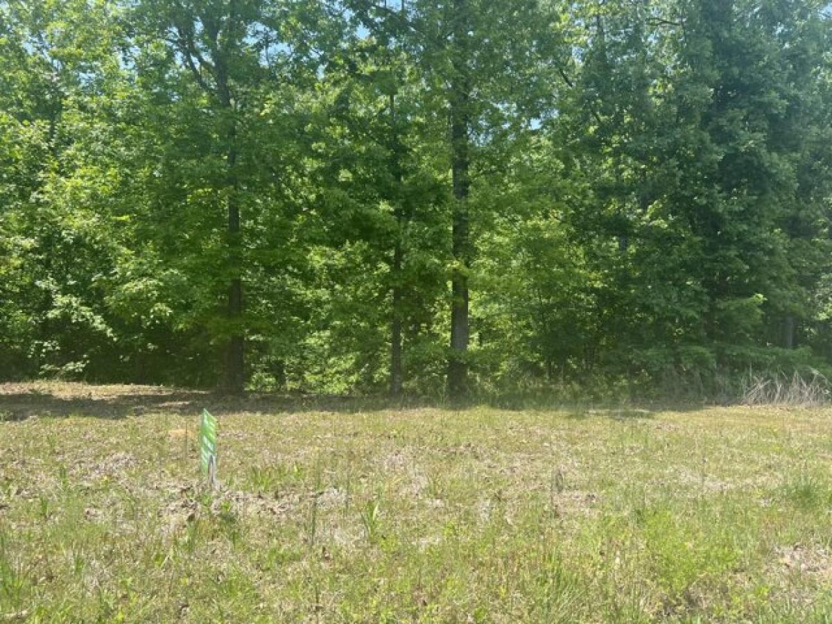 Picture of Residential Land For Rent in Trenton, Georgia, United States