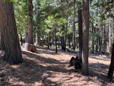 Residential Land For Sale in Camp Connell, California