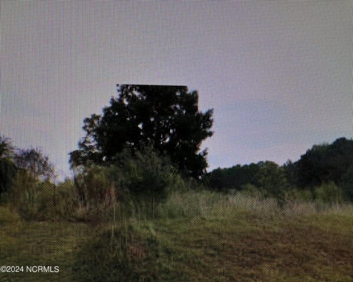 Picture of Residential Land For Sale in Goldsboro, North Carolina, United States