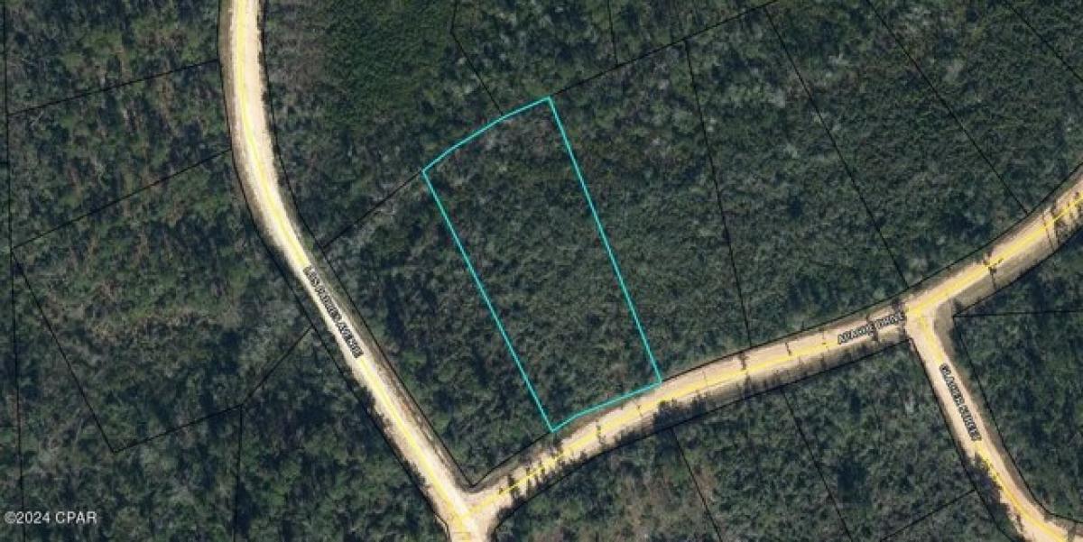 Picture of Residential Land For Sale in Alford, Florida, United States