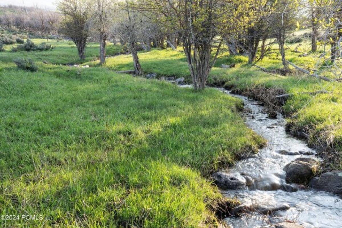 Picture of Residential Land For Sale in Oakley, Utah, United States