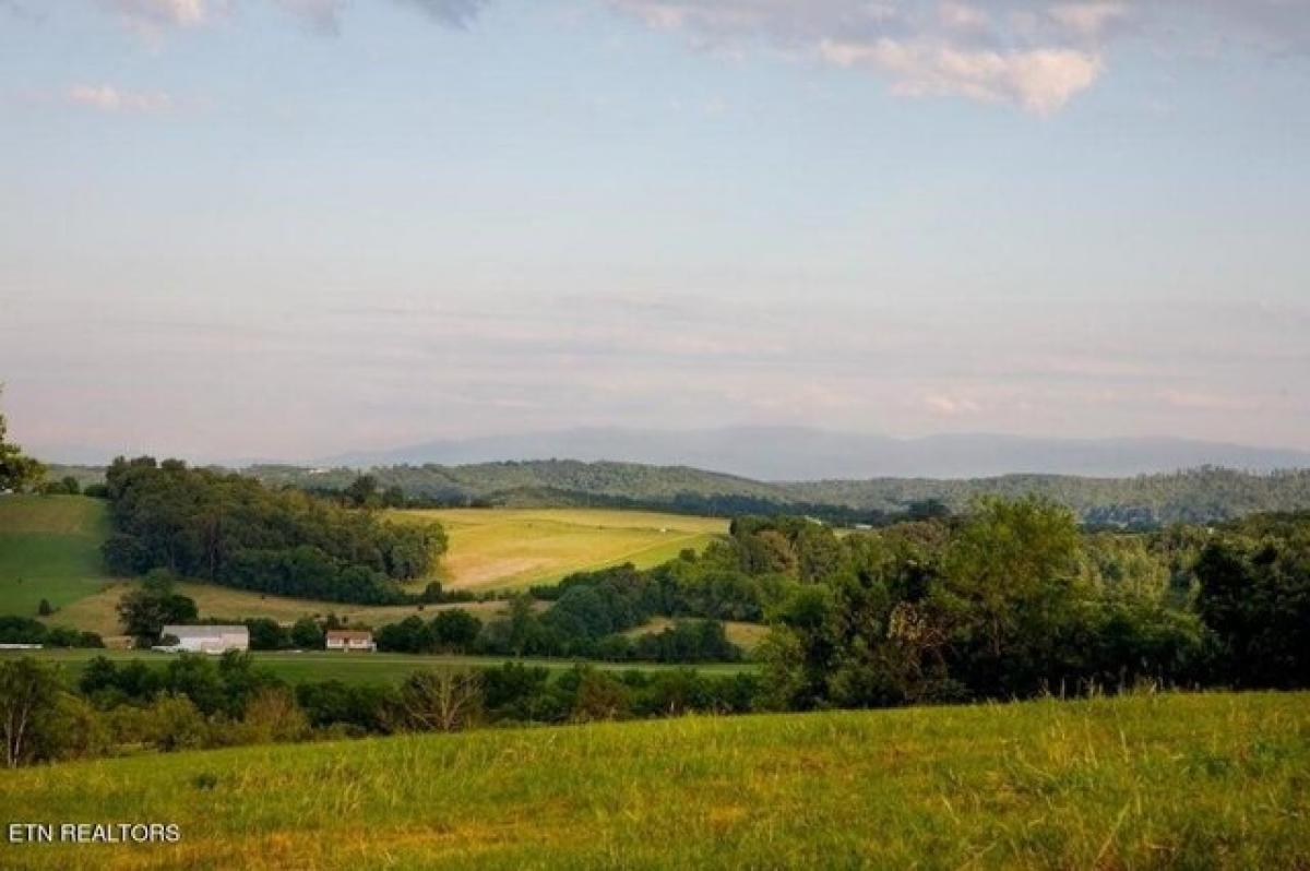 Picture of Residential Land For Sale in Loudon, Tennessee, United States