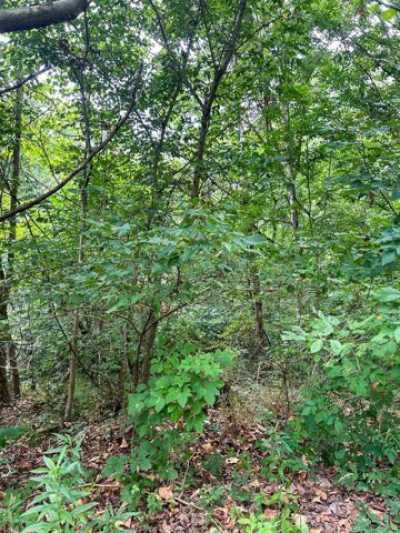 Residential Land For Sale in 