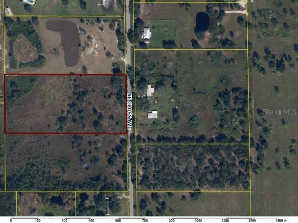 Picture of Residential Land For Sale in Arcadia, Florida, United States