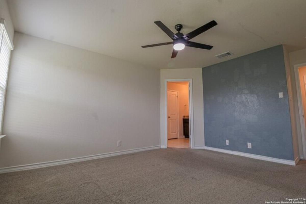 Picture of Home For Rent in Cibolo, Texas, United States