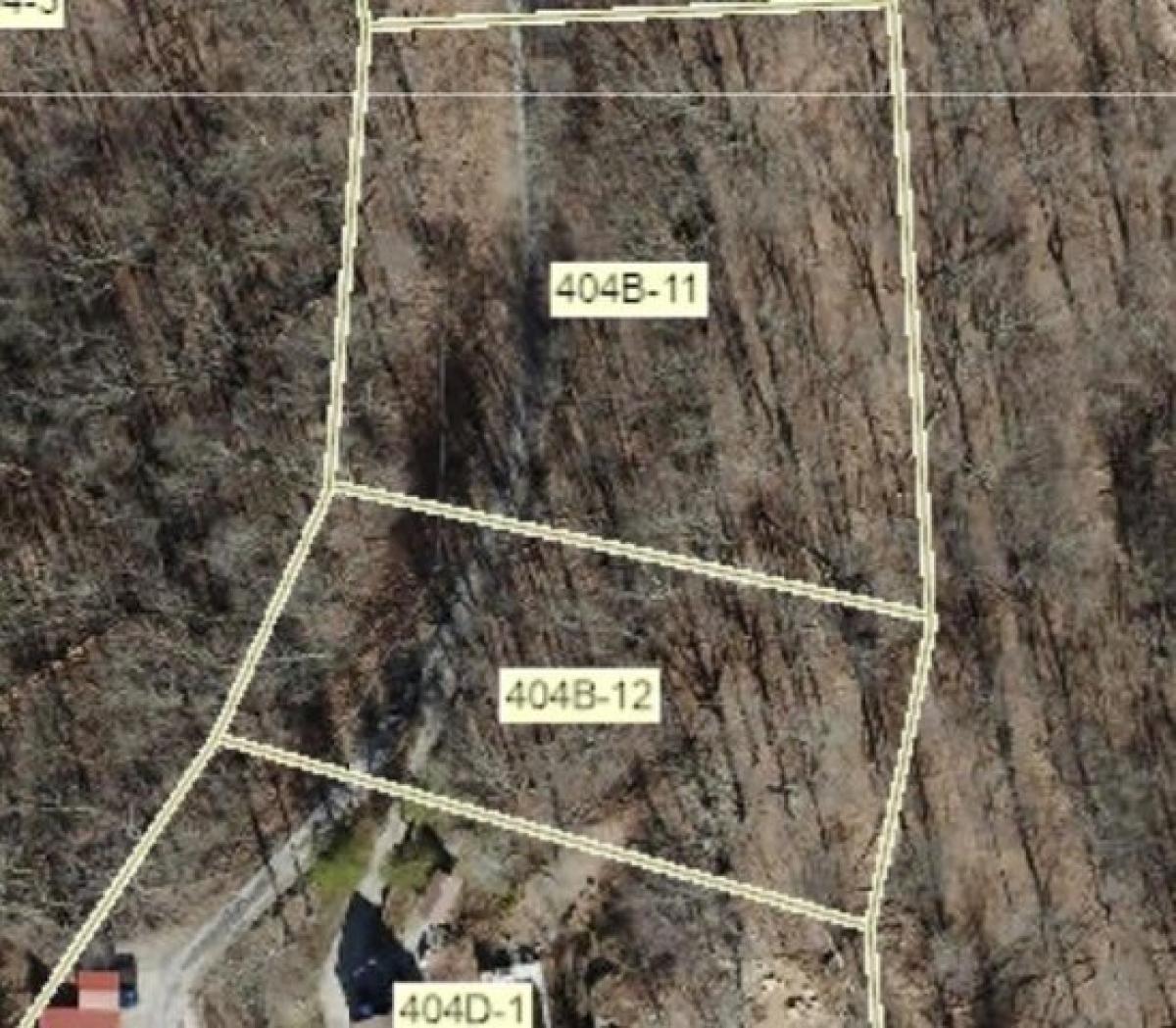 Picture of Residential Land For Sale in Williamson, West Virginia, United States