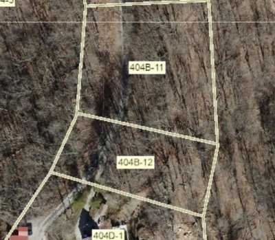 Residential Land For Sale in Williamson, West Virginia