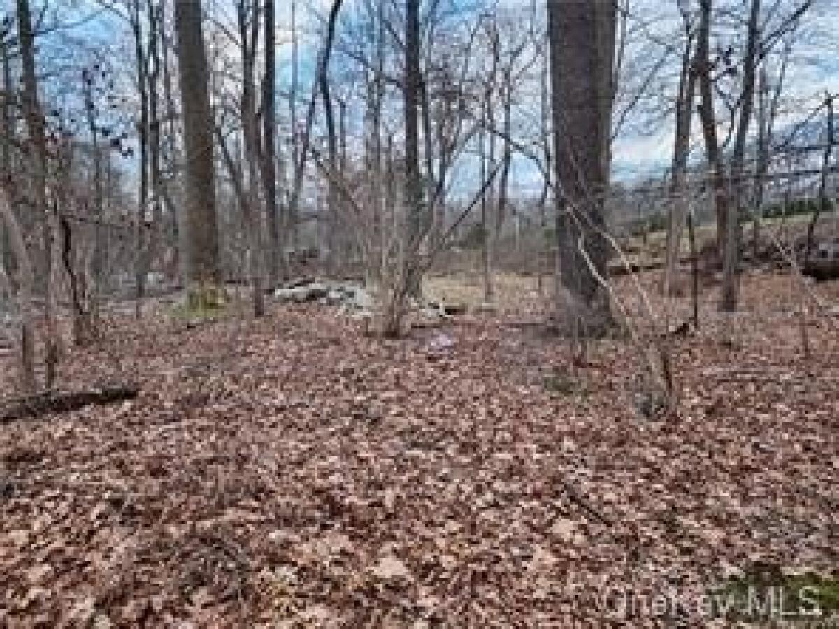 Picture of Residential Land For Sale in Spring Valley, New York, United States