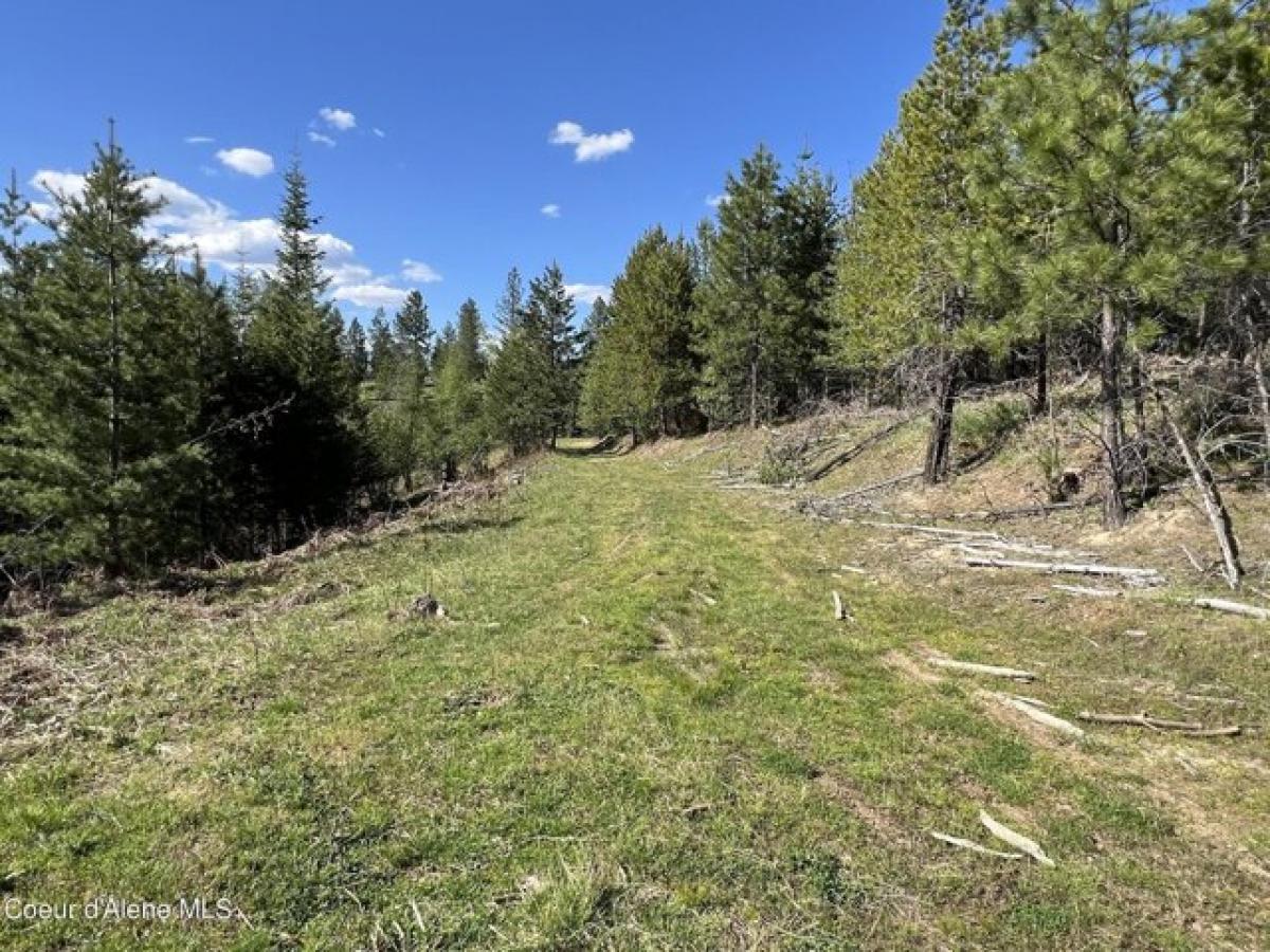 Picture of Residential Land For Sale in Pinehurst, Idaho, United States