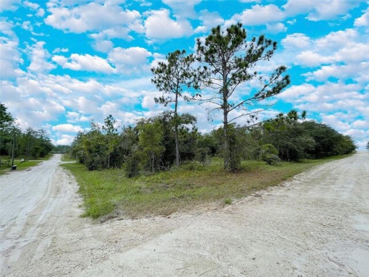 Picture of Residential Land For Sale in Williston, Florida, United States