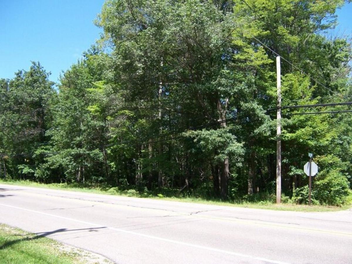 Picture of Residential Land For Sale in Houghton Lake, Michigan, United States