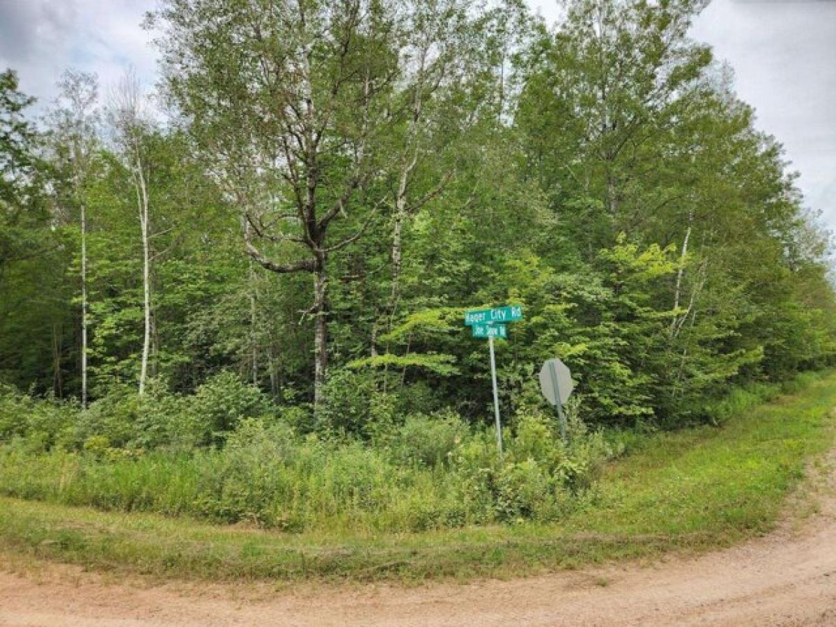 Picture of Residential Land For Sale in Merrill, Wisconsin, United States