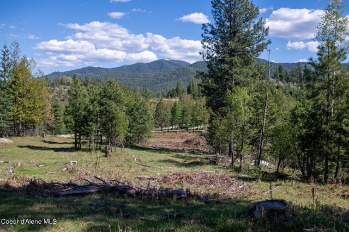 Picture of Residential Land For Sale in Pinehurst, Idaho, United States