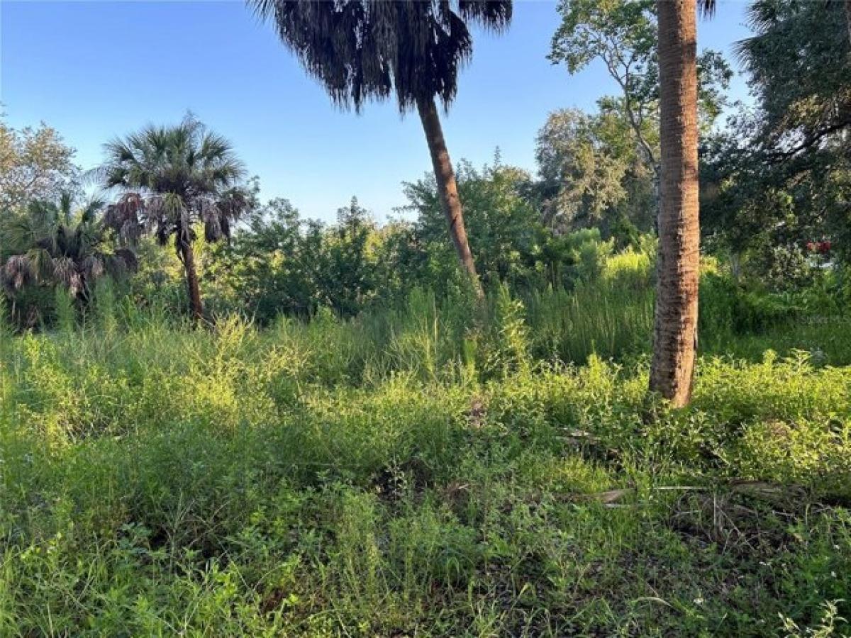 Picture of Residential Land For Sale in Ruskin, Florida, United States