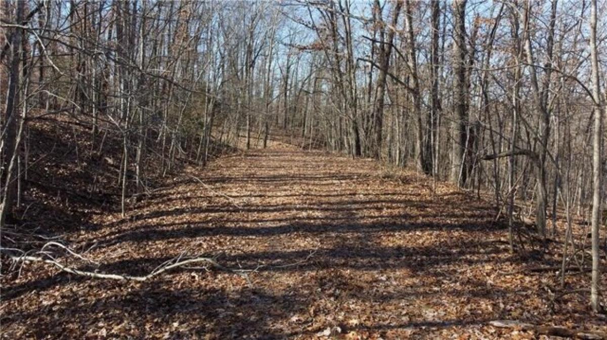 Picture of Residential Land For Rent in Bella Vista, Arkansas, United States