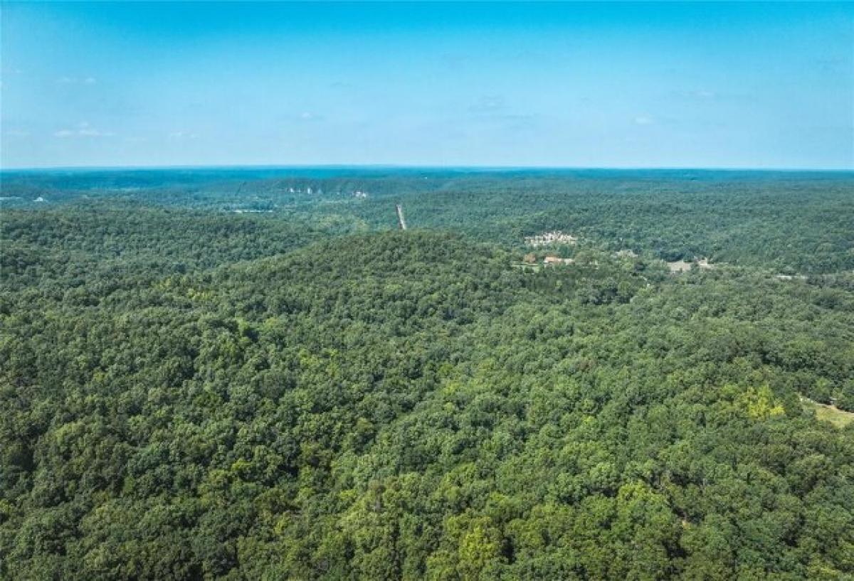 Picture of Residential Land For Sale in Devils Elbow, Missouri, United States