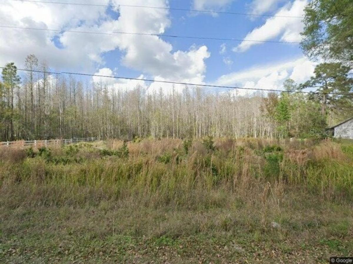 Picture of Residential Land For Sale in Wesley Chapel, Florida, United States