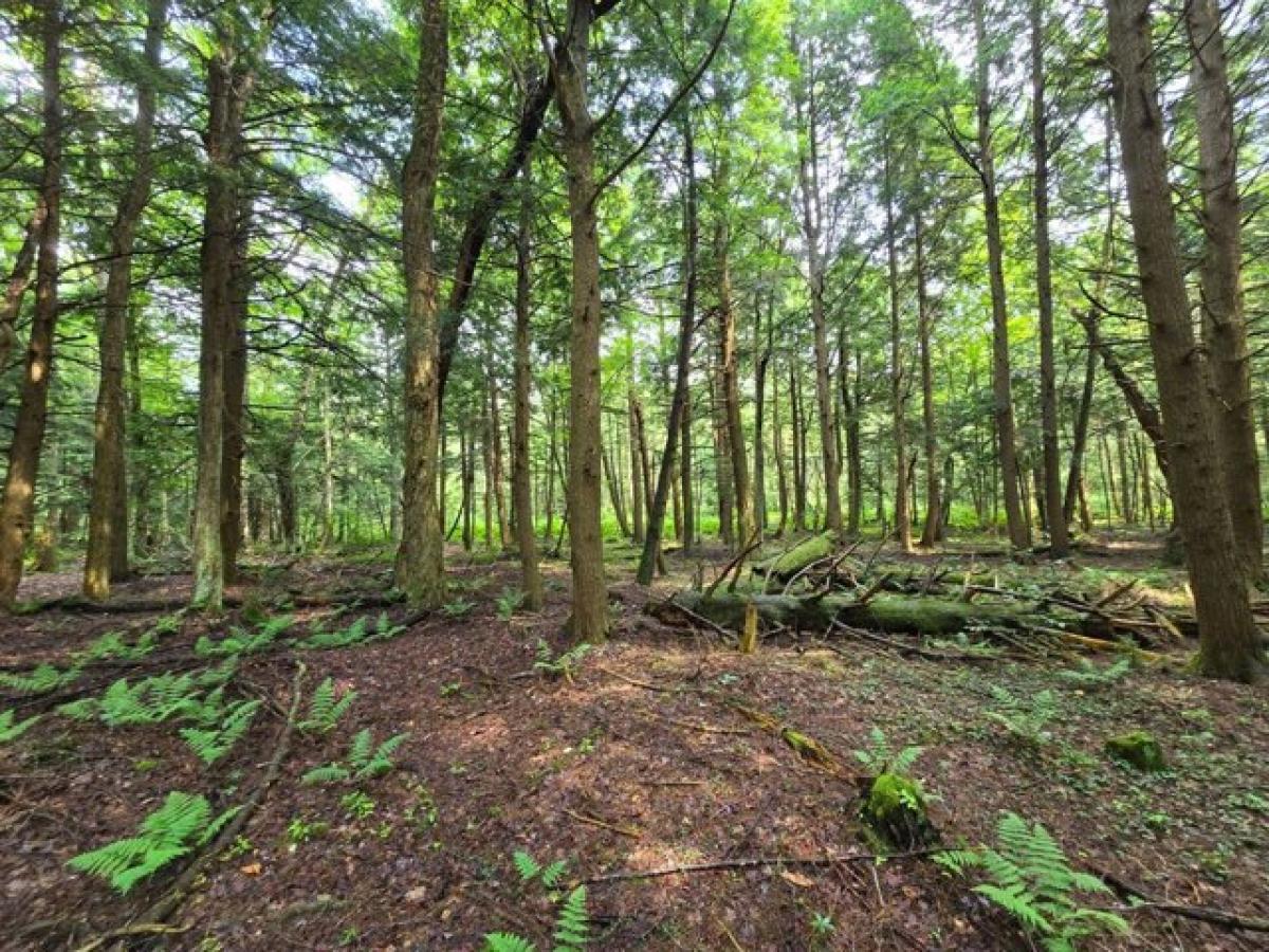 Picture of Home For Sale in McDonough, New York, United States