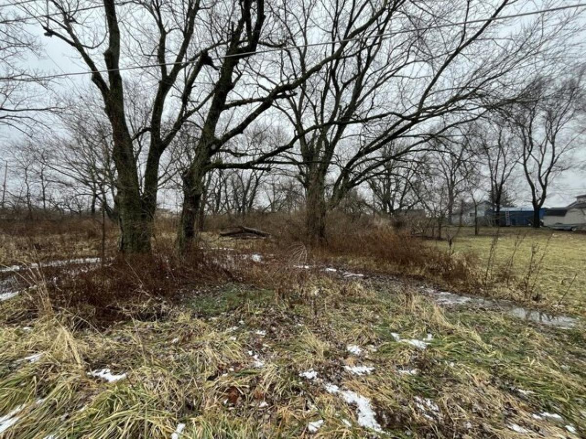 Picture of Residential Land For Rent in Anderson, Indiana, United States