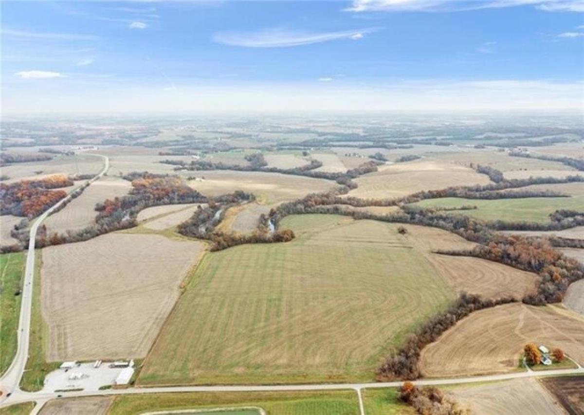 Picture of Residential Land For Sale in Wellington, Missouri, United States