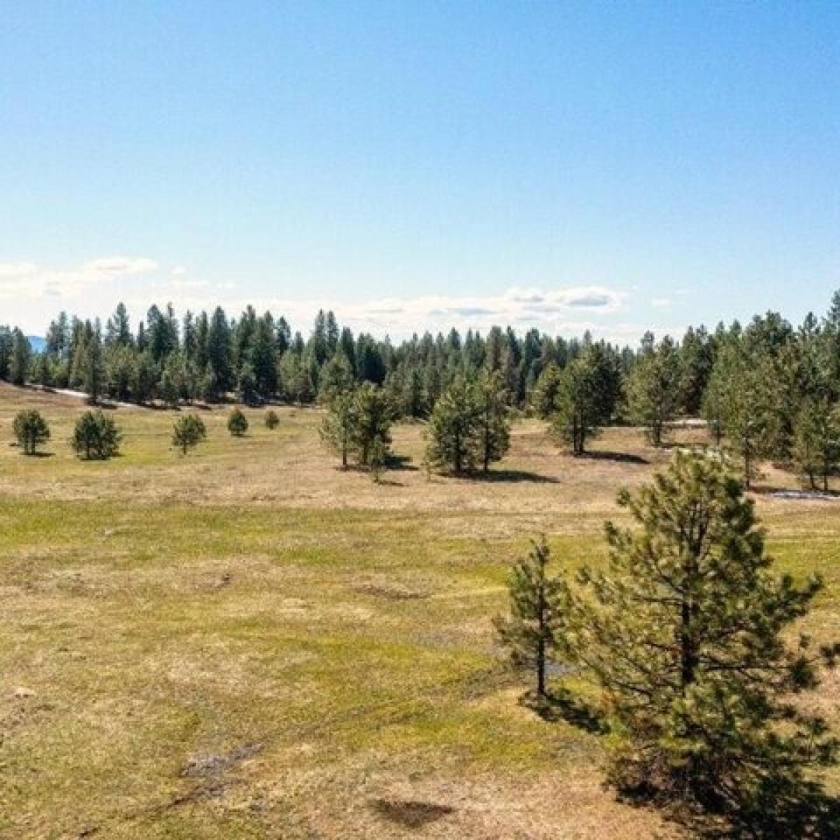 Picture of Residential Land For Sale in McCall, Idaho, United States