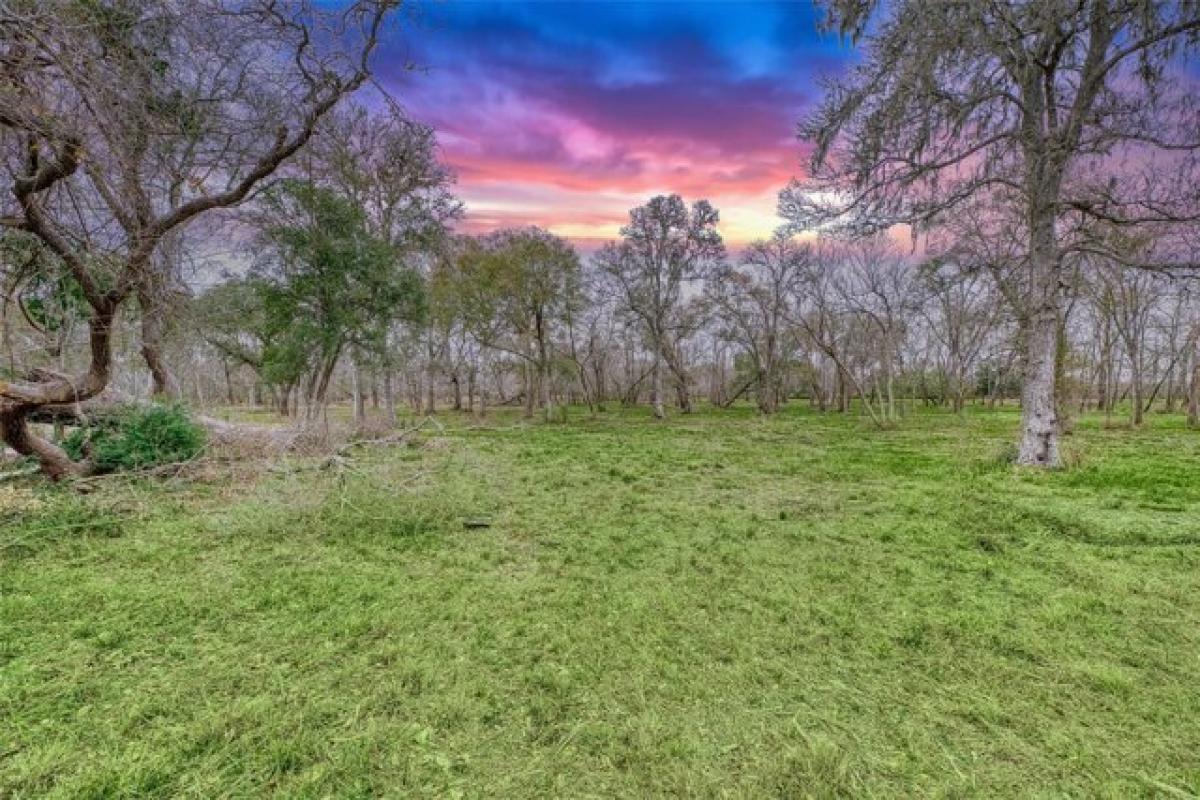 Picture of Residential Land For Sale in West Columbia, Texas, United States