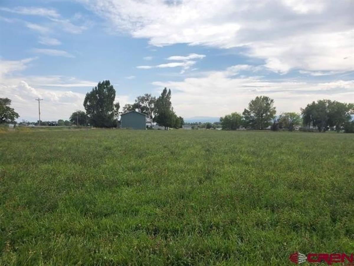 Picture of Residential Land For Sale in Montrose, Colorado, United States