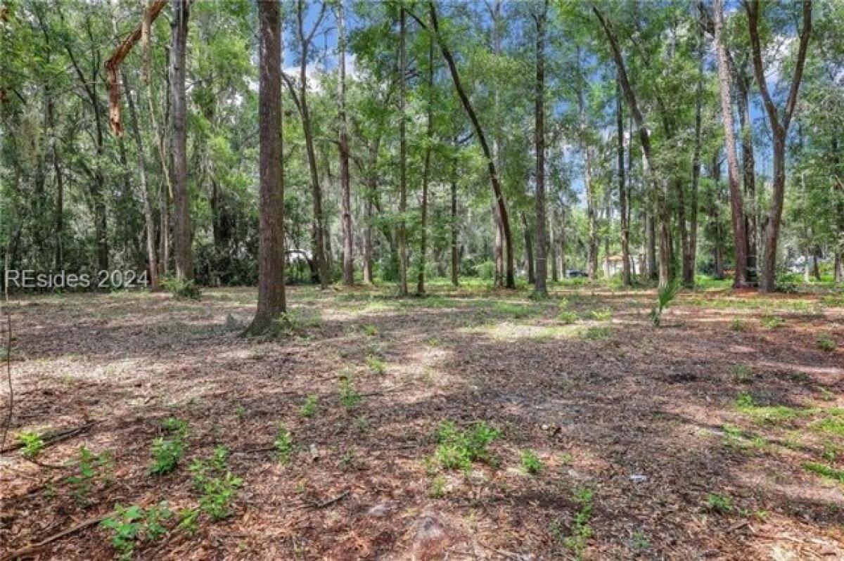 Picture of Residential Land For Sale in Bluffton, South Carolina, United States