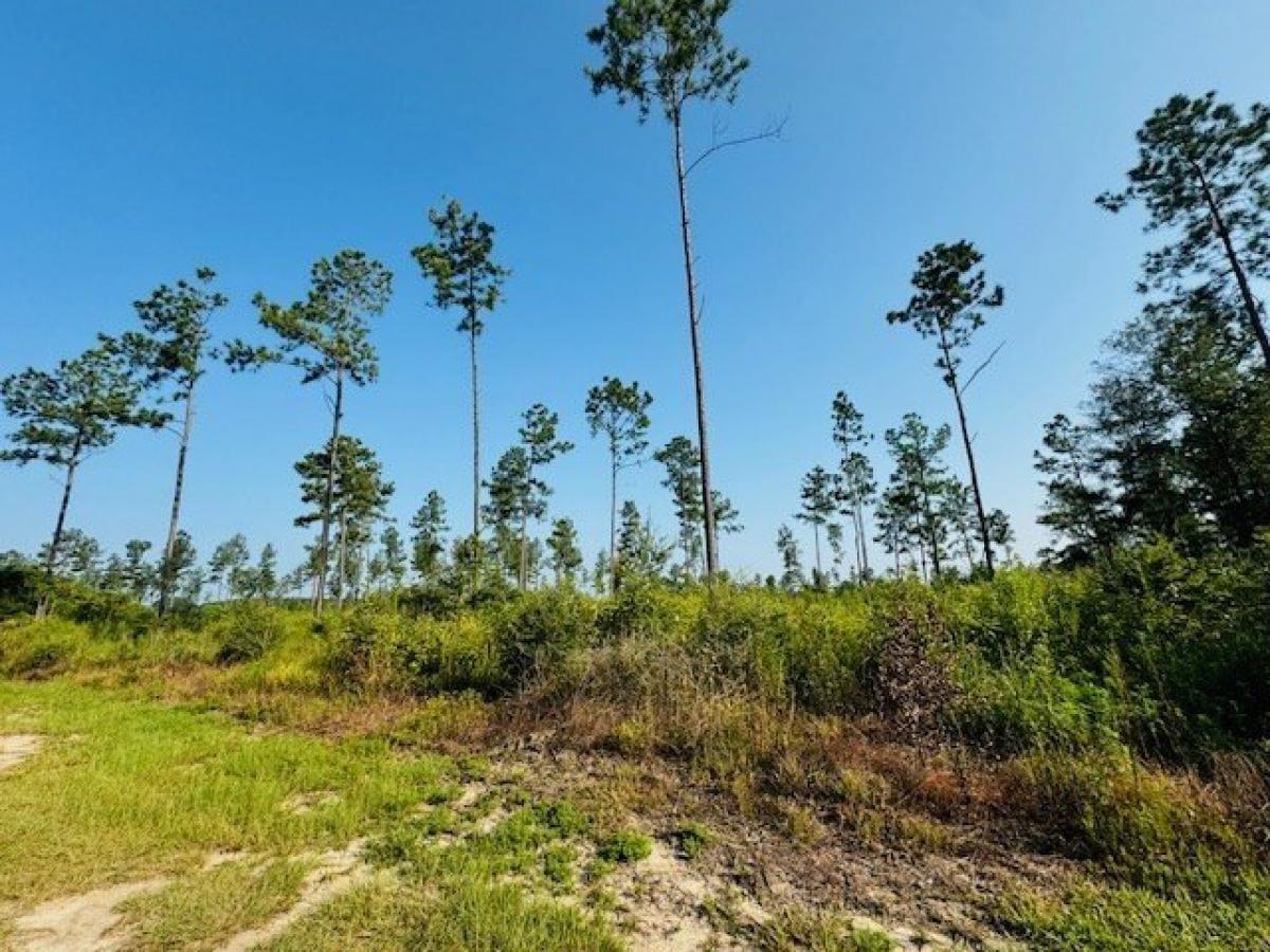 Picture of Residential Land For Sale in Franklinton, Louisiana, United States