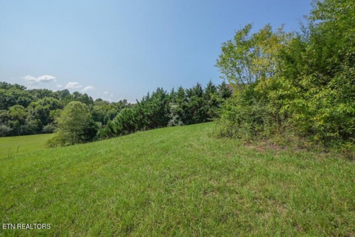 Picture of Residential Land For Sale in Maryville, Tennessee, United States