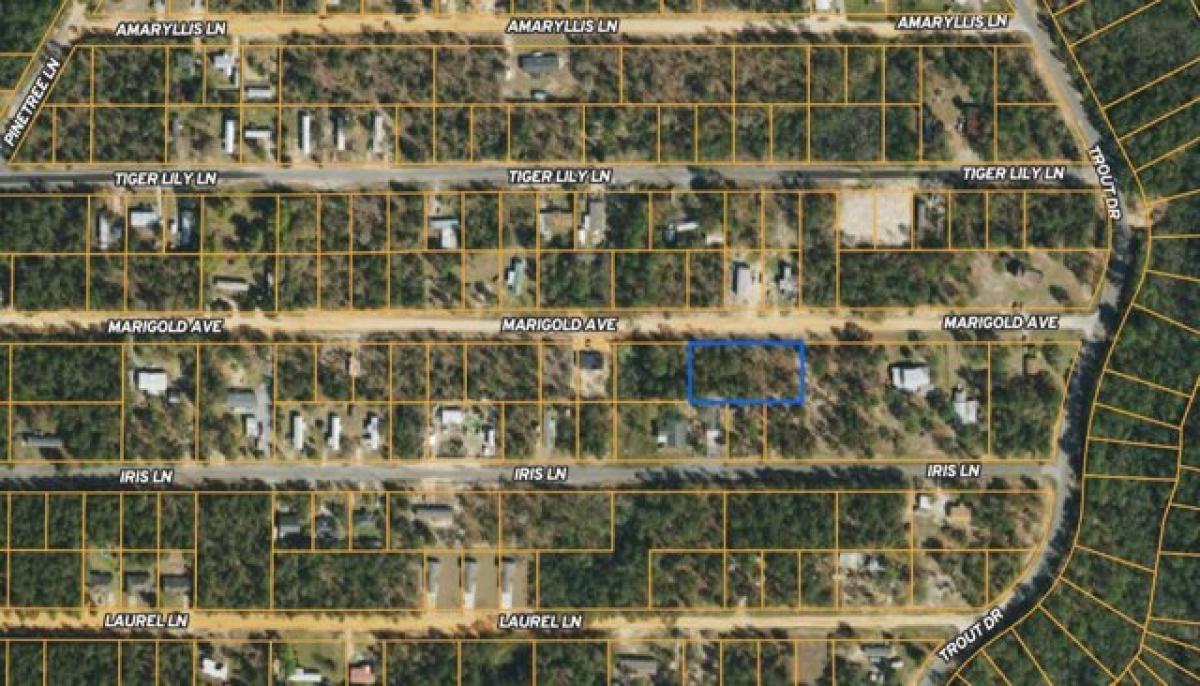 Picture of Residential Land For Sale in Defuniak Springs, Florida, United States