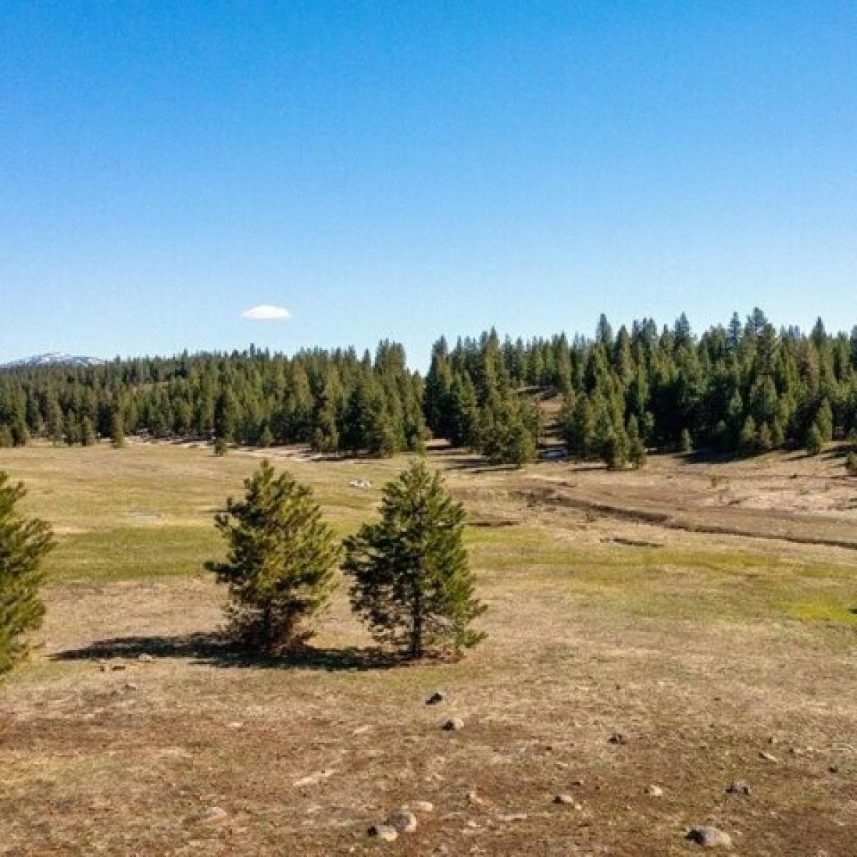 Picture of Residential Land For Sale in McCall, Idaho, United States