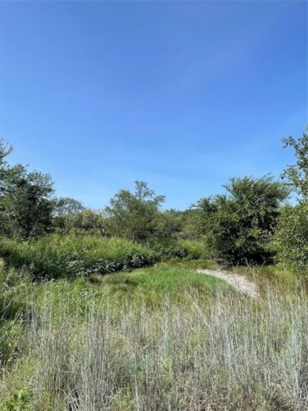 Picture of Residential Land For Sale in Goldthwaite, Texas, United States