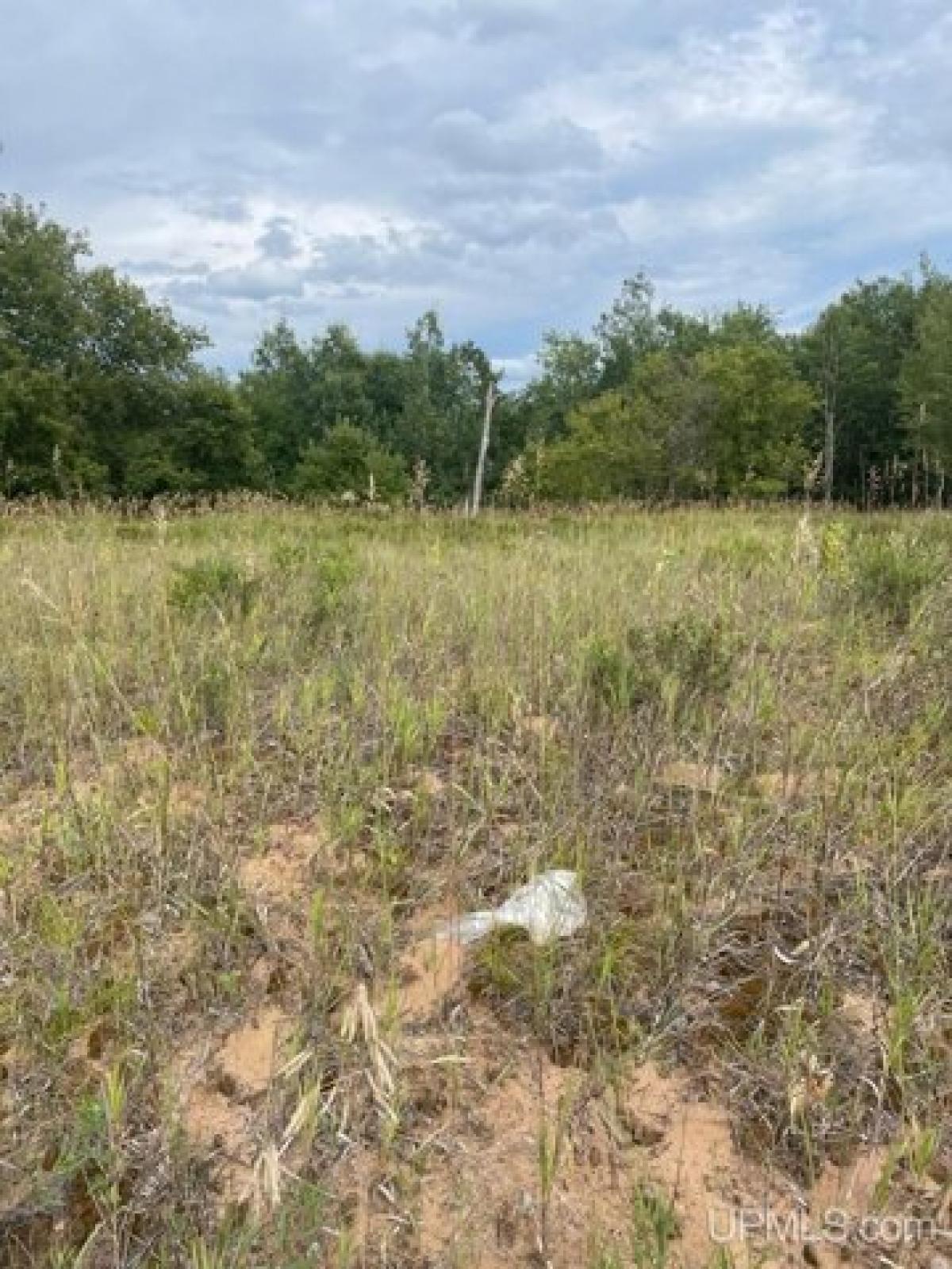 Picture of Residential Land For Sale in Iron Mountain, Michigan, United States