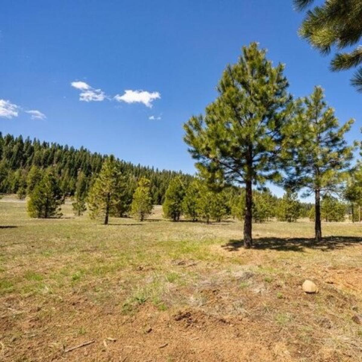 Picture of Residential Land For Sale in McCall, Idaho, United States