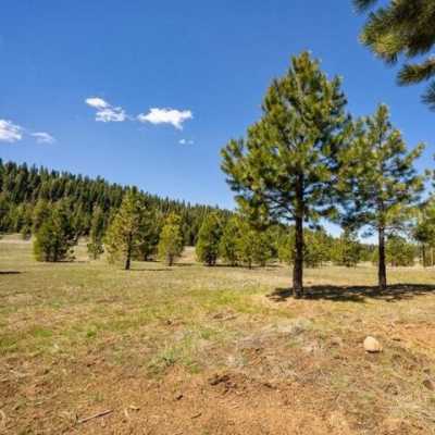 Residential Land For Sale in McCall, Idaho