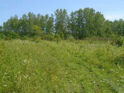 Residential Land For Sale in Wadsworth, Illinois