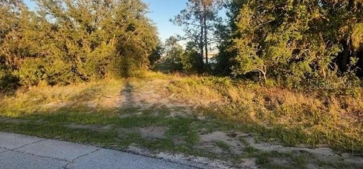 Picture of Residential Land For Sale in Poinciana, Florida, United States