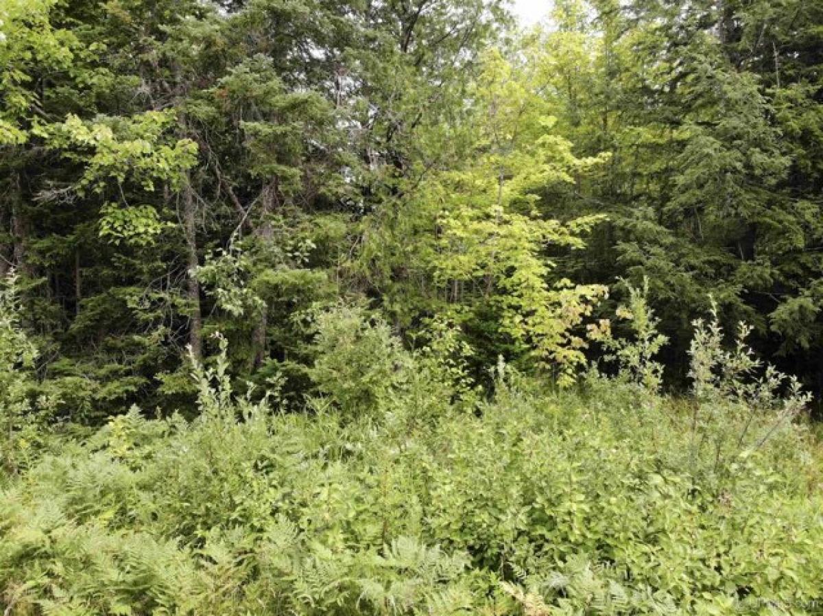 Picture of Residential Land For Sale in Baraga, Michigan, United States