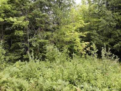 Residential Land For Sale in Baraga, Michigan