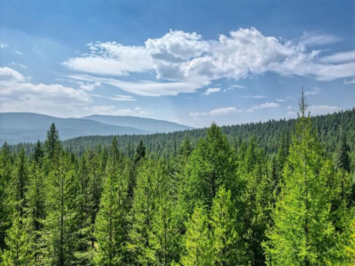 Picture of Residential Land For Sale in Marion, Montana, United States