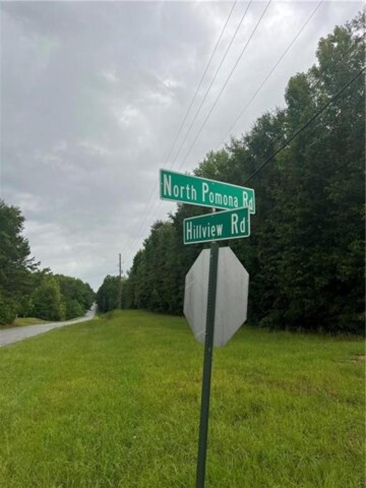 Picture of Residential Land For Sale in Hampton, Georgia, United States