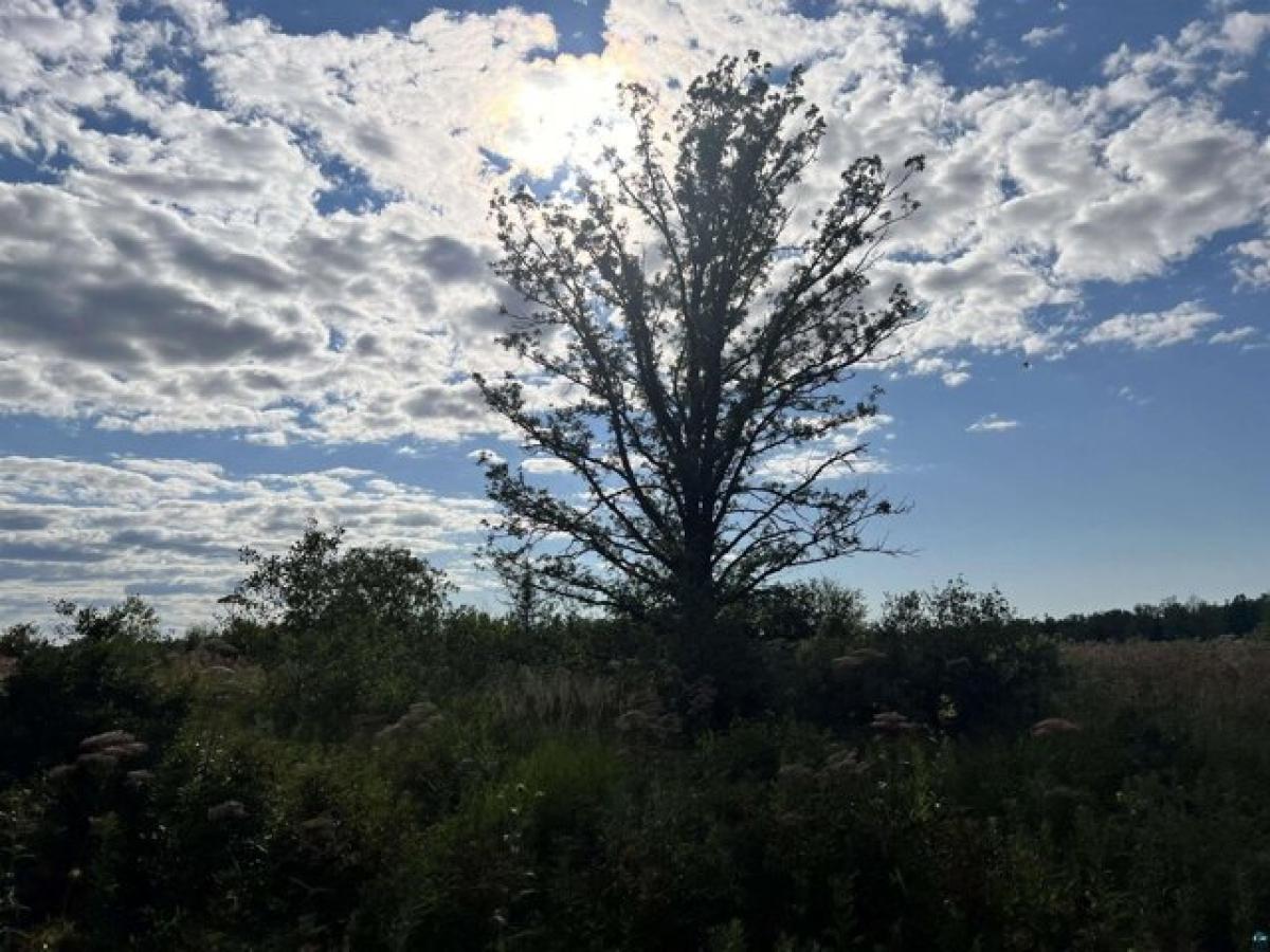 Picture of Residential Land For Sale in Iron River, Wisconsin, United States