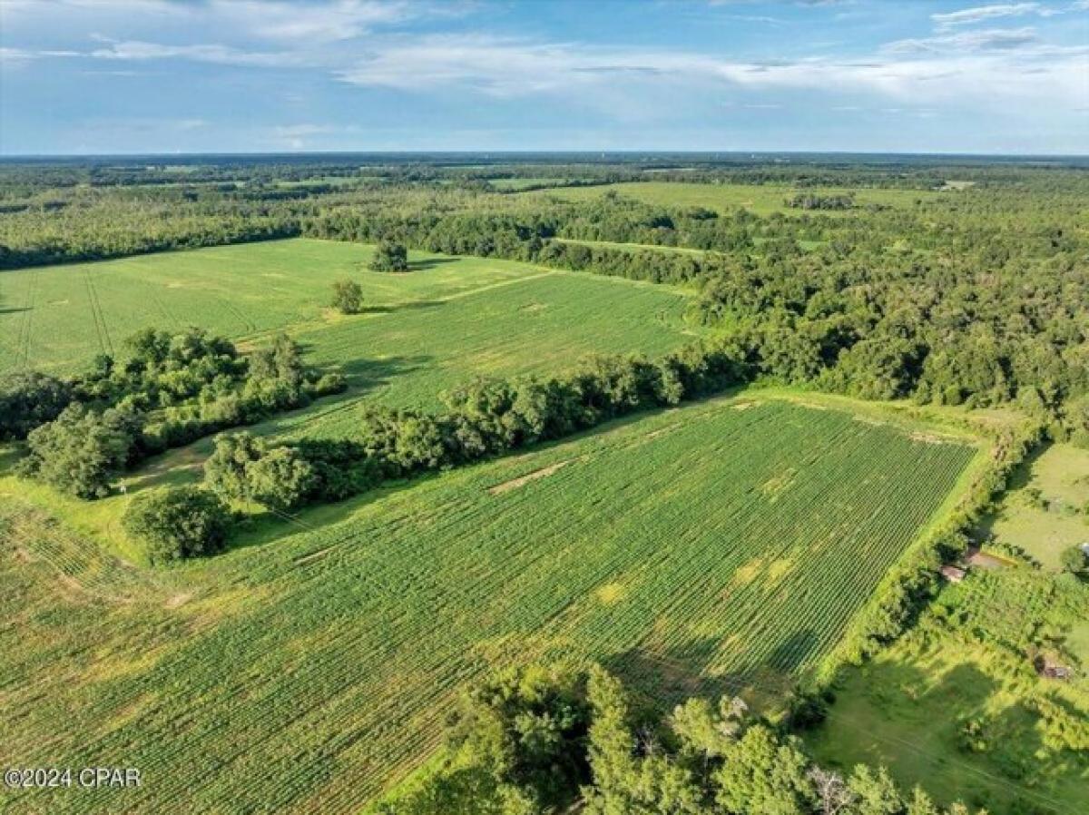 Picture of Residential Land For Sale in Marianna, Florida, United States