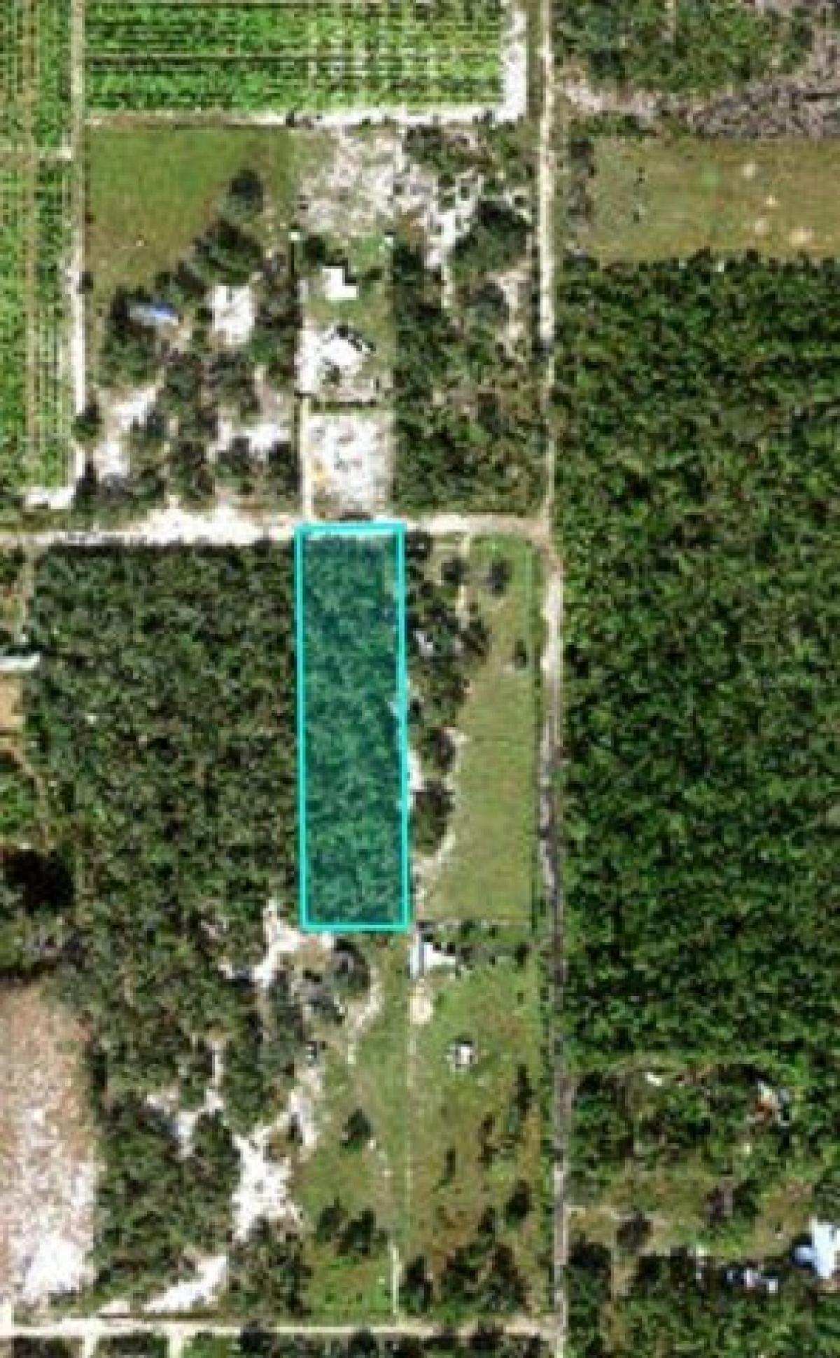 Picture of Residential Land For Sale in Frostproof, Florida, United States