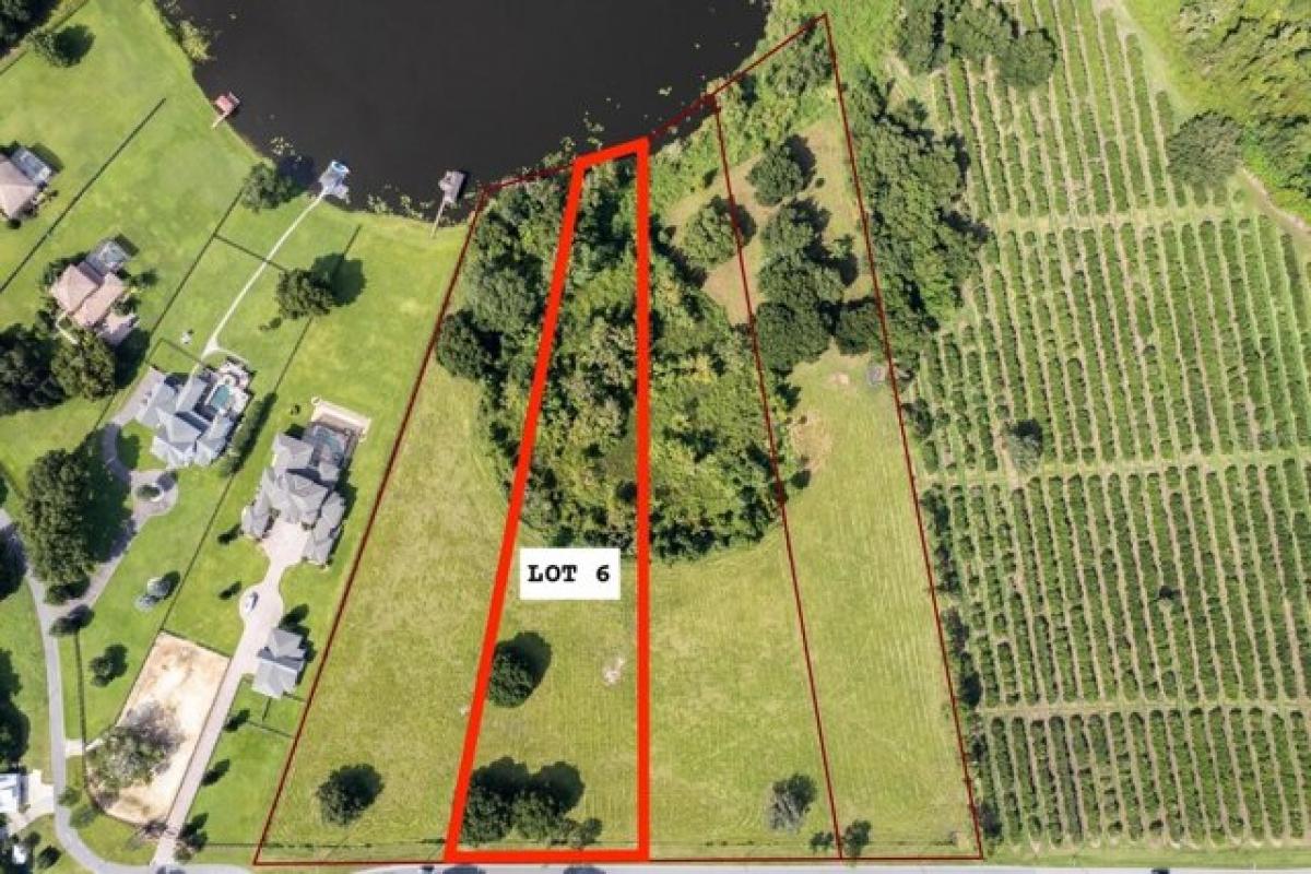 Picture of Residential Land For Sale in Mount Dora, Florida, United States