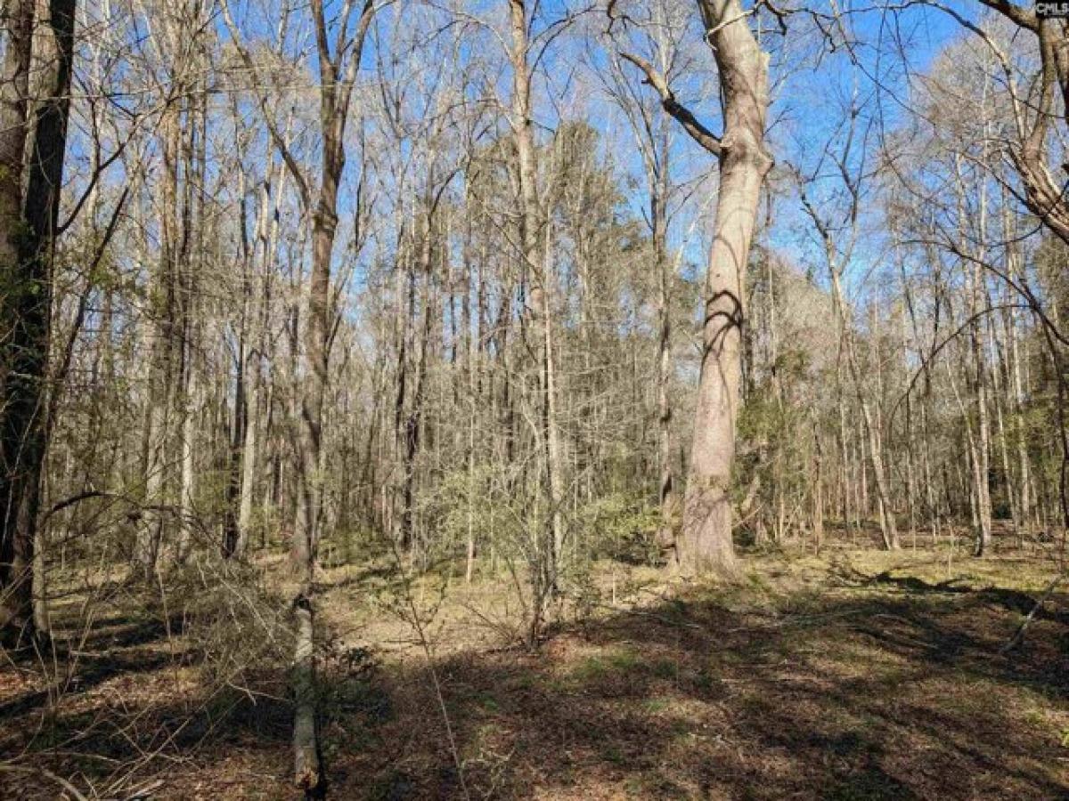 Picture of Residential Land For Sale in Newberry, South Carolina, United States