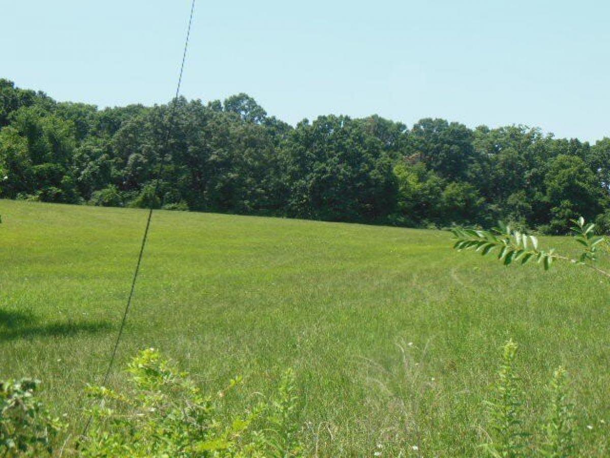 Picture of Residential Land For Sale in Roanoke, Virginia, United States