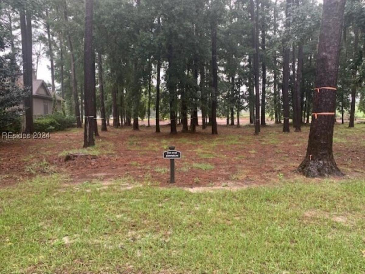 Picture of Residential Land For Sale in Bluffton, South Carolina, United States